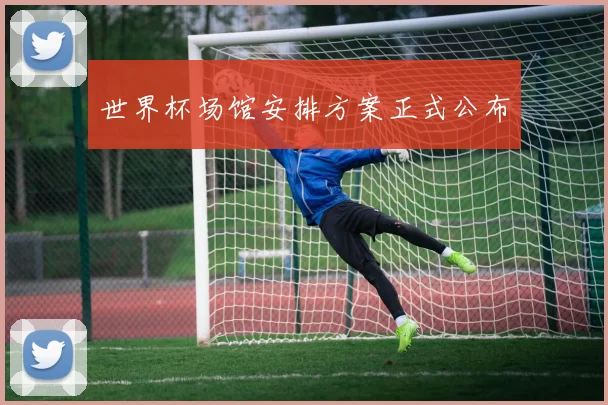 世界杯场馆安排方案正式公布