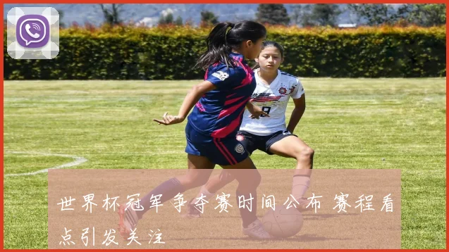 世界杯冠军争夺赛时间公布 赛程看点引发关注
