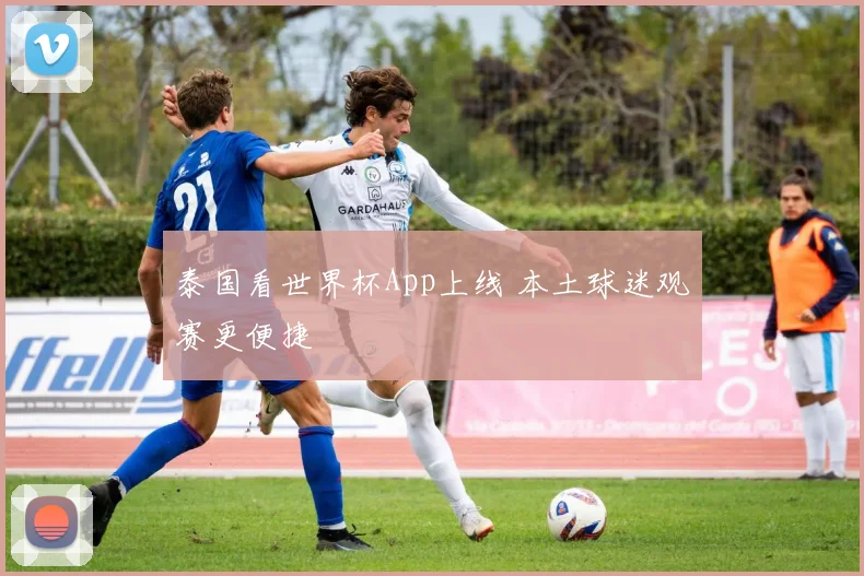 泰国看世界杯App上线 本土球迷观赛更便捷