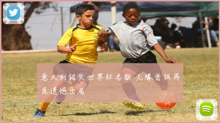 意大利错失世界杯名额 无缘晋级再度遗憾出局